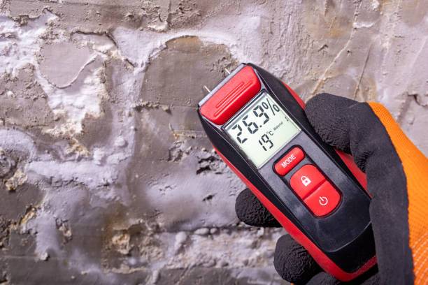 Mold Testing and Removal in Combee Settlement, FL